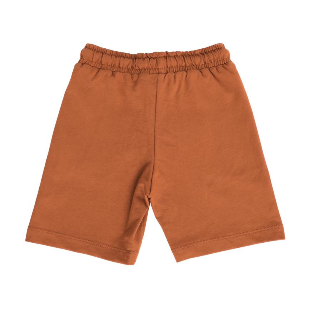 T-REX Brown Short - T-REX Brown Short - 2-3 Years - Silversun - Melymod