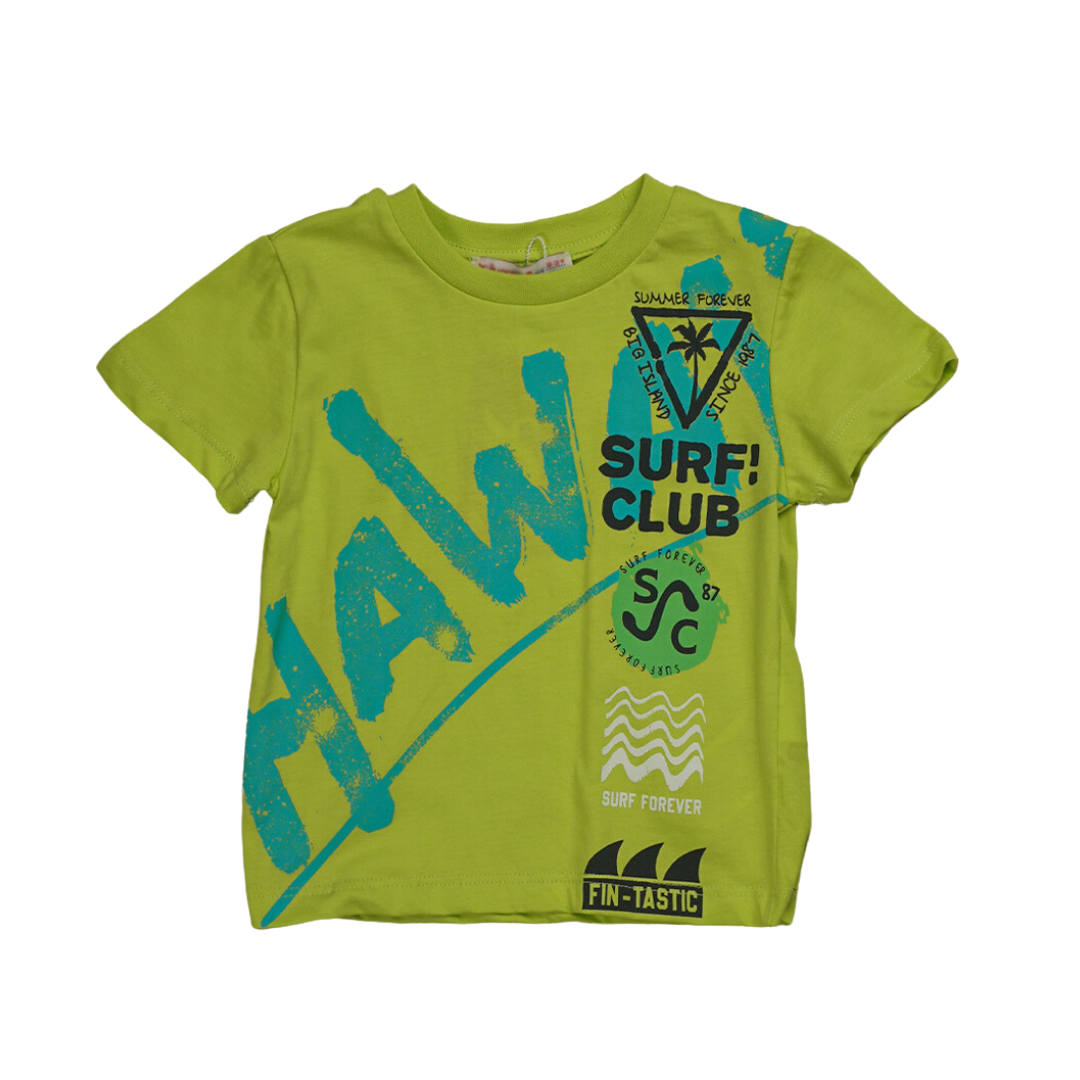 Hawaii Green T-shirt - Hawaii Green T-shirt - 2-3 Years - Silversun - Melymod