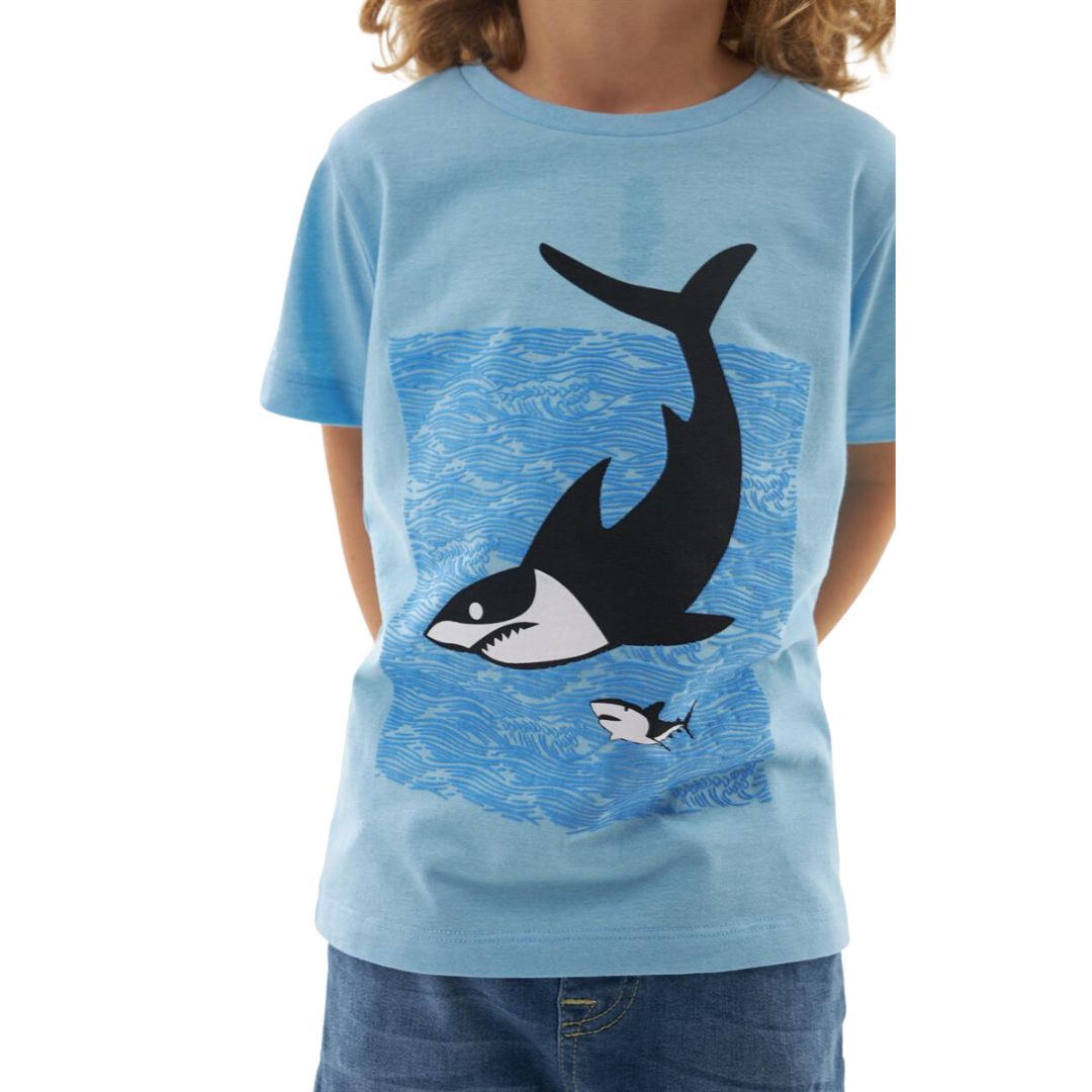 Shark Blue Tshirt - Shark Blue Tshirt - 2-3 Years - Silversun - Melymod